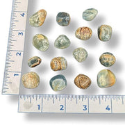 Assorted colored stones with a ruler for scale on a white background