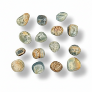 A set of polished natural tumbled stones in earthy tones of beige, brown, gray, and muted blue-green, arranged on a white background with soft drop shadows.