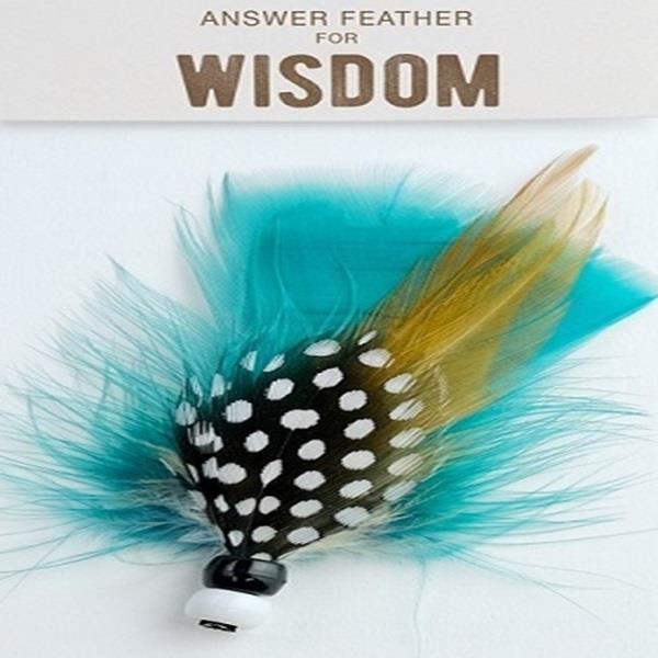 Answer Feather Wisdom
