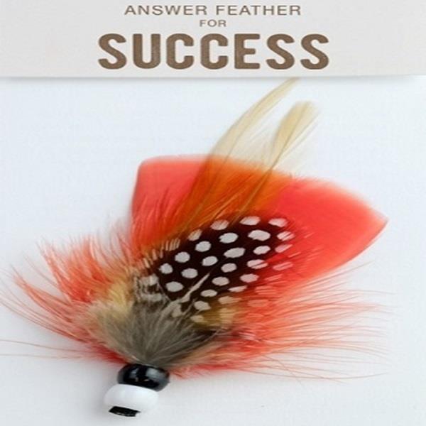 Answer Feather Success