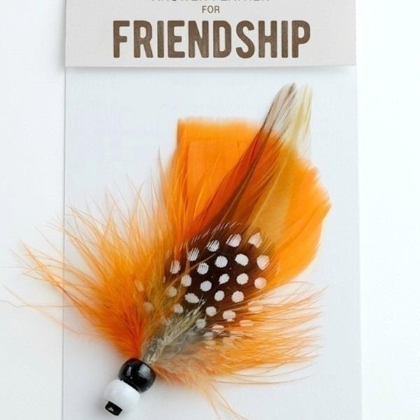 Answer Feather Friendship