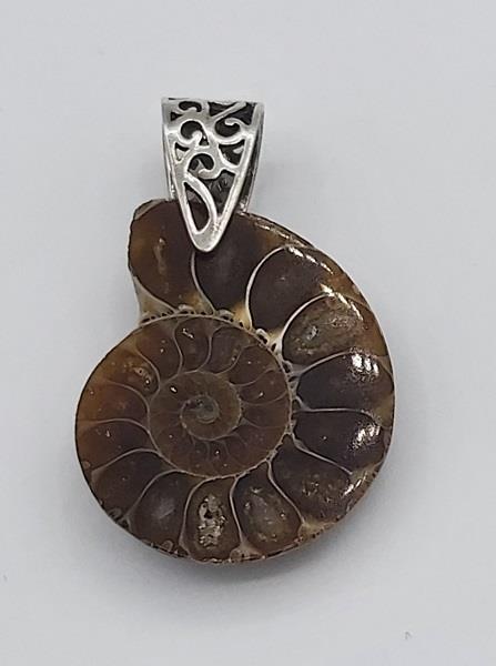 Pendant Ammonite