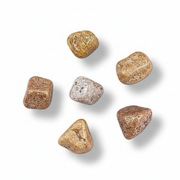 Six polished tumbled flower agates in earthy brown, gold, and silver tones arranged on a white background with soft drop shadows.