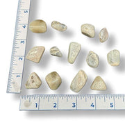 Collection of green moonstones on a white background with a ruler for scale.