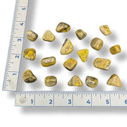 Bumblebee Jasper tumbled stones with a ruler for scale on a white background