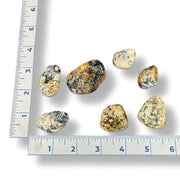 Set of rocks on a white background with a ruler for scale