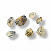 Six polished dendrite agate stones in natural granite patterns of beige, brown, black, and white, arranged on a clean white background with soft drop shadows.