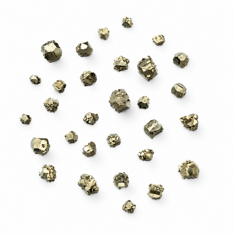A scattered collection of small metallic pyrite crystals with a metallic olive-gold sheen, arranged on a plain white background.