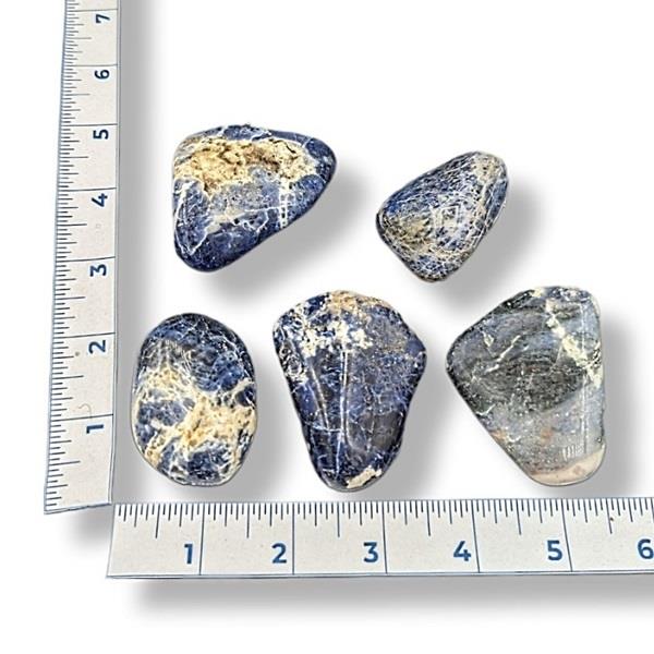 Sodalite Tumbled XLarge