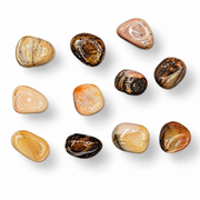 Nine polished tumbled stones in various earthy tones and patterns, arranged on a clean white background.