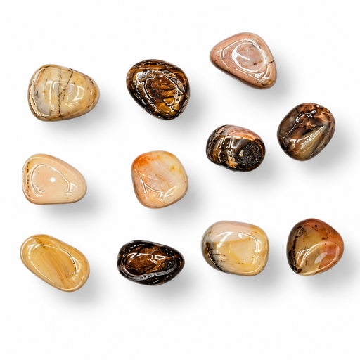 Nine polished tumbled stones in various earthy tones and patterns, arranged on a clean white background.
