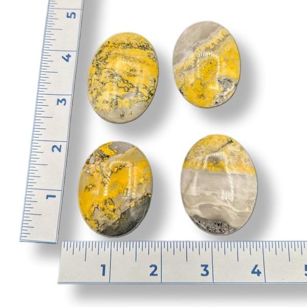 Bumblebee Jasper Palmstone