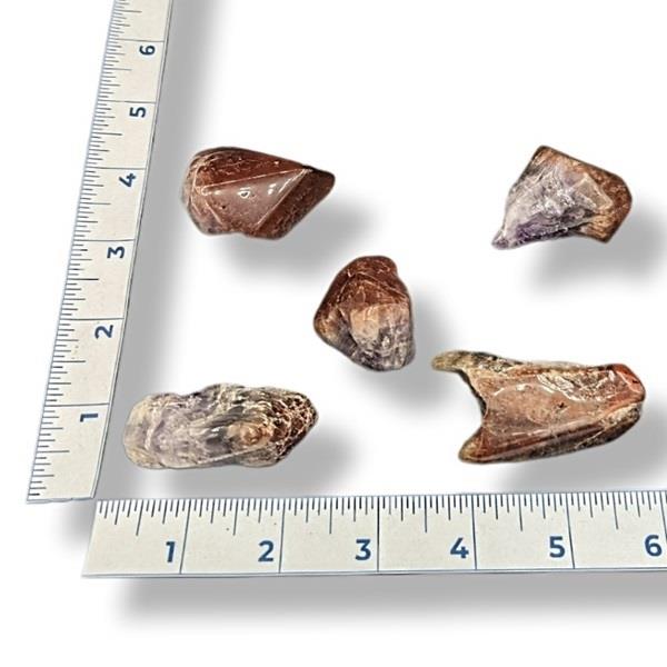 Red Capped Amethyst Tumbled 30g Approximate