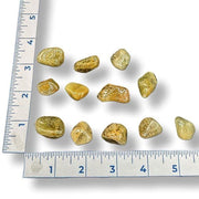 Tumbled green aquamarine with a ruler for scale on a white background