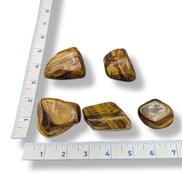 Tiger's Eye Tumbled XLarge