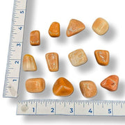 Orange stones on a white background with a ruler for scale
