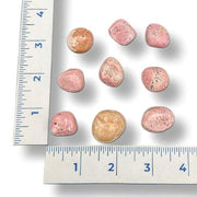 Pink and beige stones on a white background with a ruler for scale.