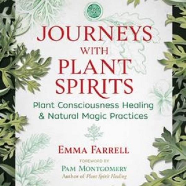 Journeys with Plant Spirits