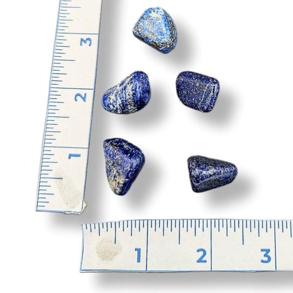 Lapis Lazuli Tumbled