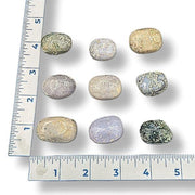 Assorted small rocks on a white background with a ruler for scale.