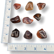 Assorted polished stones on a white background with a ruler for scale.