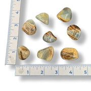 Nine polished stones of various sizes on a white background with a ruler for scale.