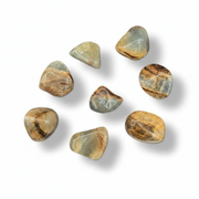 Seven polished tumbled gemstones in earthy brown, beige, and gray tones, arranged on a clean white background with soft drop shadows.
