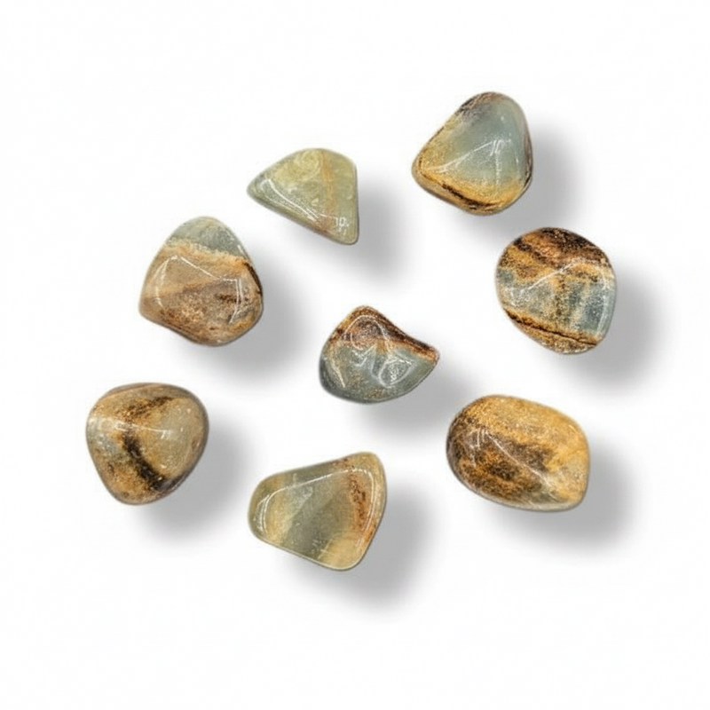 Seven polished tumbled gemstones in earthy brown, beige, and gray tones, arranged on a clean white background with soft drop shadows.