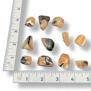 Set of tumbled dark honey calcite  with a ruler for scale on a white background