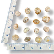 Set of stones with a ruler for scale on a white background