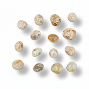 Twelve polished gemstone tumbled stones with various natural patterns and colors, arranged in a loose circle on a white background with soft drop shadows.