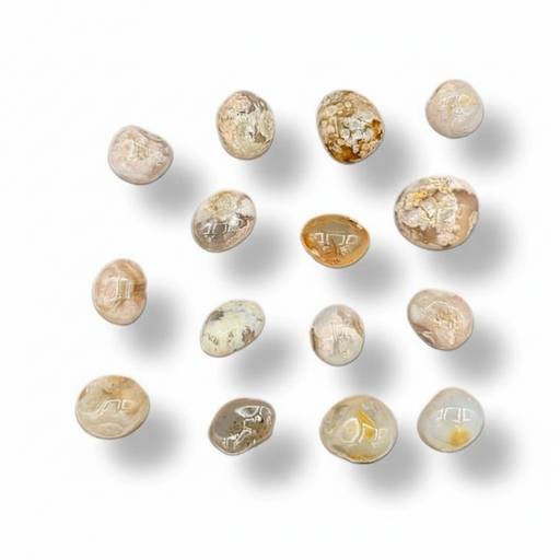 Twelve polished gemstone tumbled stones with various natural patterns and colors, arranged in a loose circle on a white background with soft drop shadows.