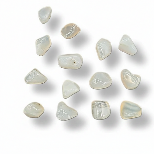 Twelve small, irregular, polished opalized Agate in a milky translucent white color, arranged in a scattered pattern on a white background with soft drop shadows.