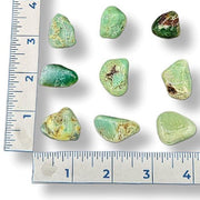 Greenish stones on a white background with a ruler for scale.