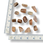 Brown stones on a white surface with a ruler for scale.