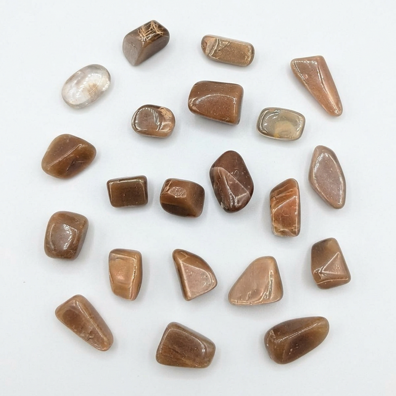A set of polished brown tumbled stones with natural organic shapes, arranged on a plain white background.