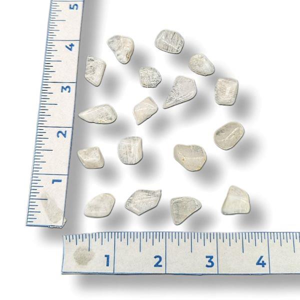 Rainbow Moonstone Tumbled Small