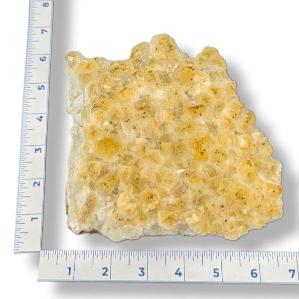 Citrine Cluster 1508g Approximate