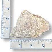 Rock next to a ruler on a white background