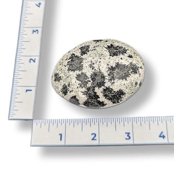 Dalmation Stone Palmstone 155g Approximate