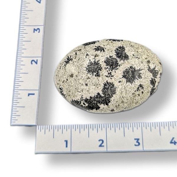 Dalmation Stone Palmstone 188g Approximate