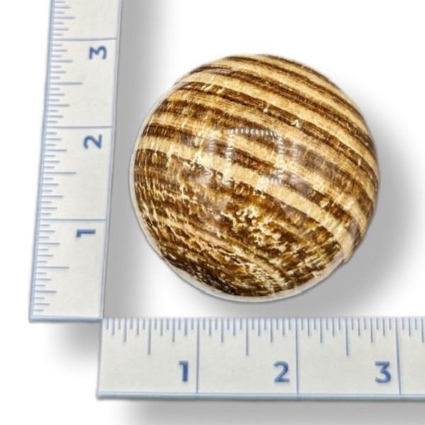 Aragonite Sphere 252g Approximate