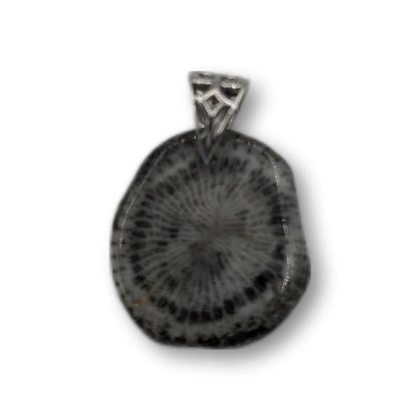 Pendant Fossilized Black Coral