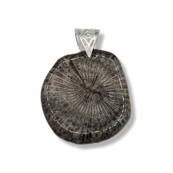 Pendant Fosilized Black Coral