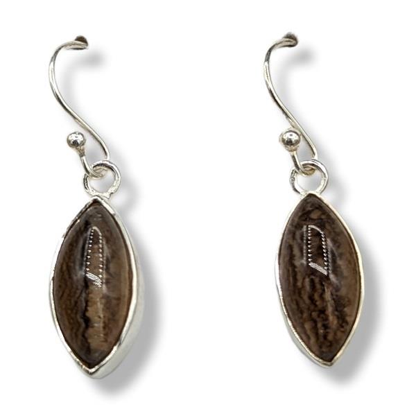 Earrings Agate Sterling Silver