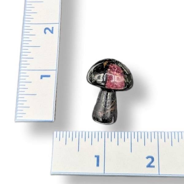 Eudialyte Mushroom Mini 16g Approximate