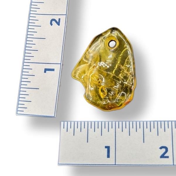 Pendant Amber with Hole