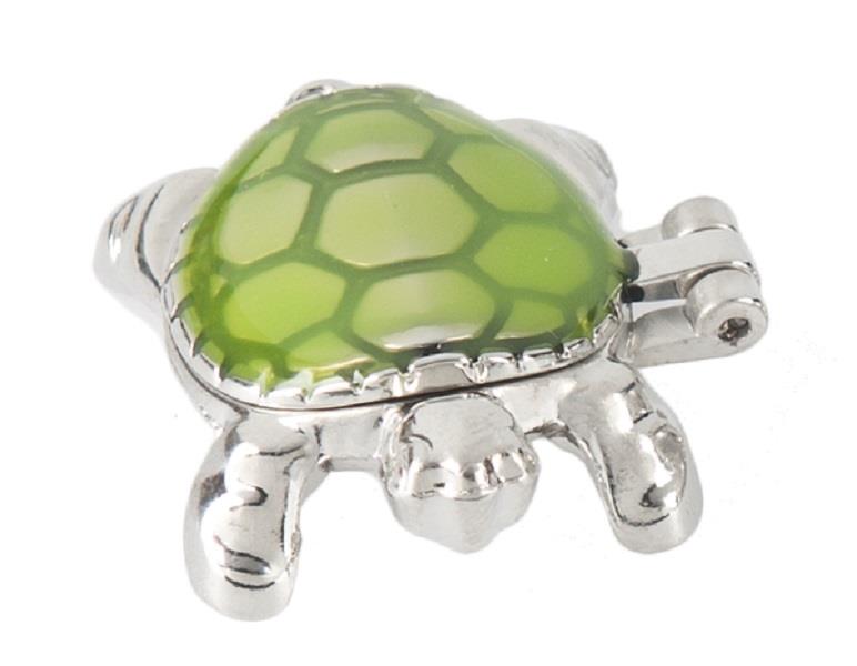 Charms Lucky Little Turtle Wishbox