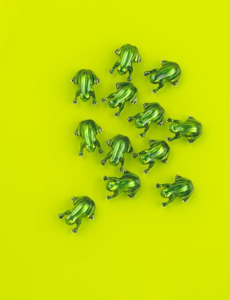 Charms Lucky Little Frog