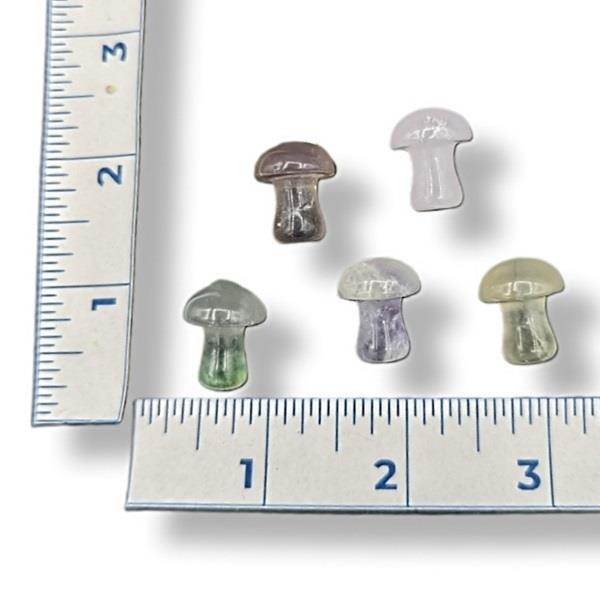 Fluorite Mushroom Mini
